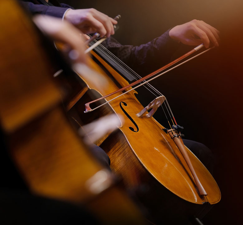 Famille des instruments à corde